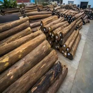 Raw Material Burma Teak Log Teak Wood