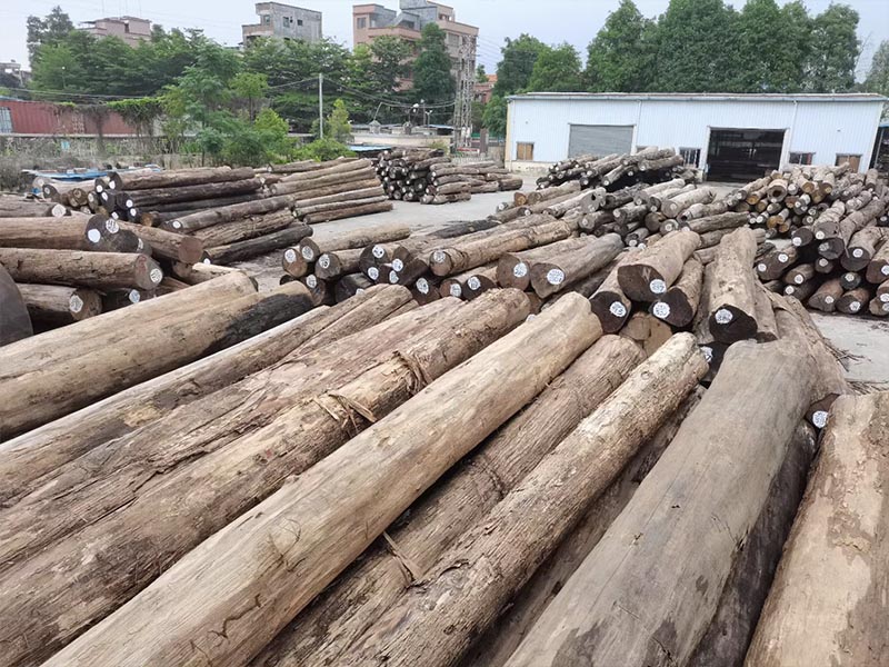 Myanmar teak wood with uniform color Myanmar teak wood