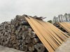 Exotic Burma Teak Log for Luxury Outdoor Furniture Creations