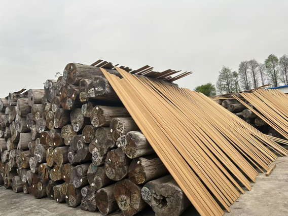 Exotic Burma Teak Log for Luxury Outdoor Furniture Creations