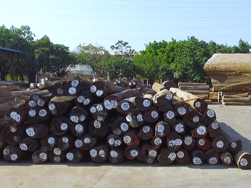 Raw Material Burma Teak Log Teak Wood