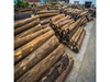 Exotic Burma Teak Log for Luxury Outdoor Furniture Creations