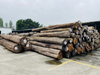 Natural beauty unique texture strong plasticity and teak logs