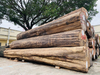 Raw Material Burma Teak Log Teak Wood