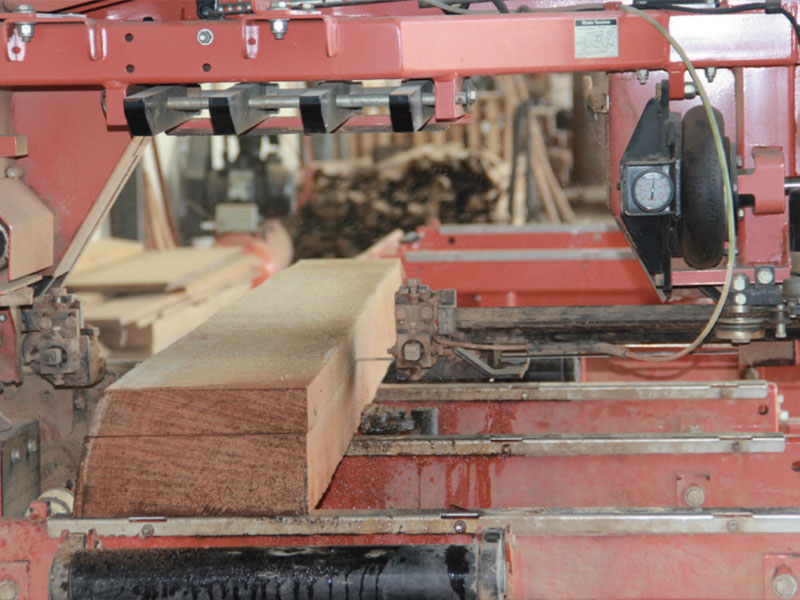 professional sawn equipment