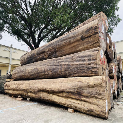 Natural Unique Texture Teak Logs