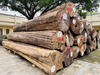 &nbsp;Raw Material Burma Teak Log Teak Wood Door