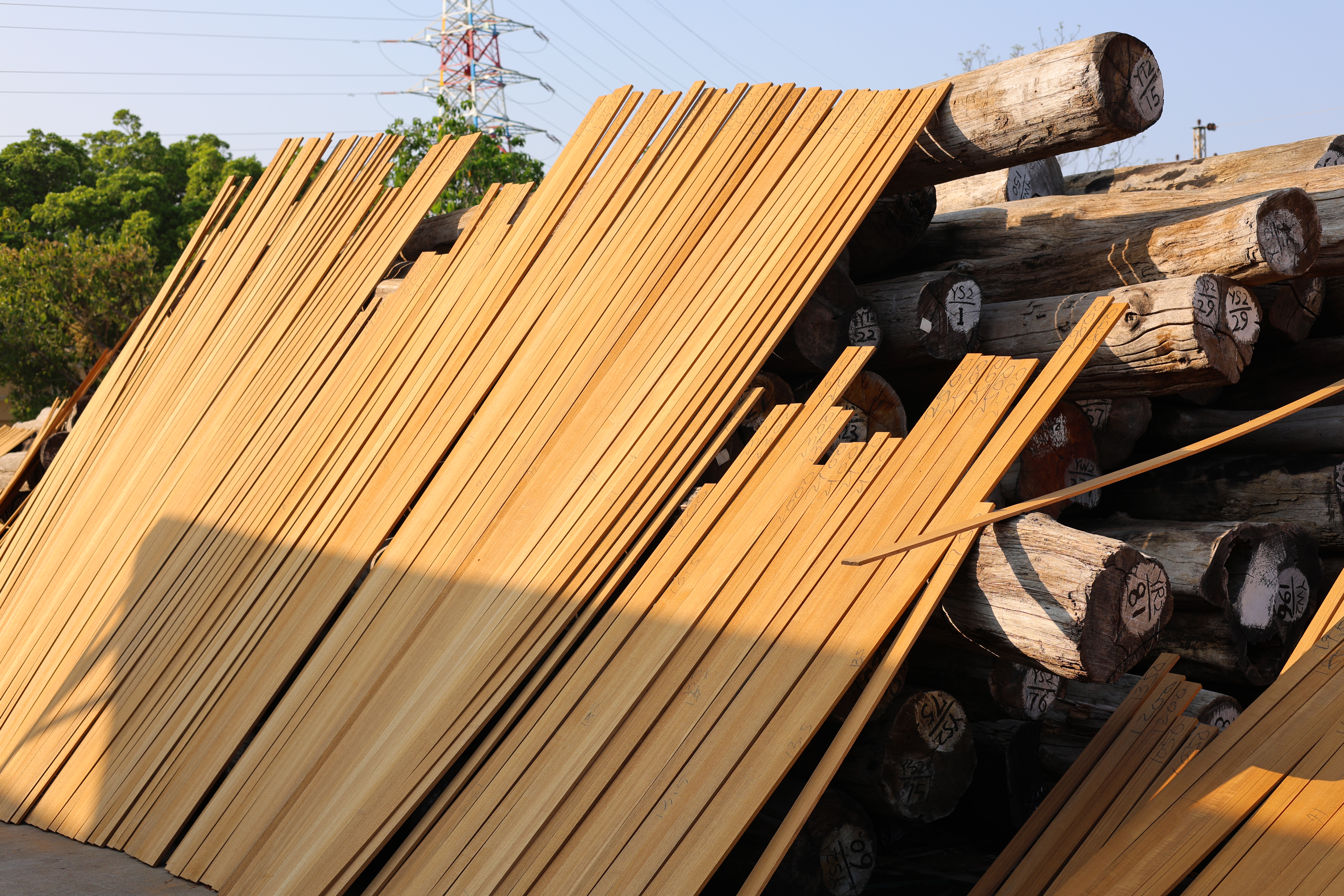 Premium Nature No Scars No Sapwood Burma Teak Decks