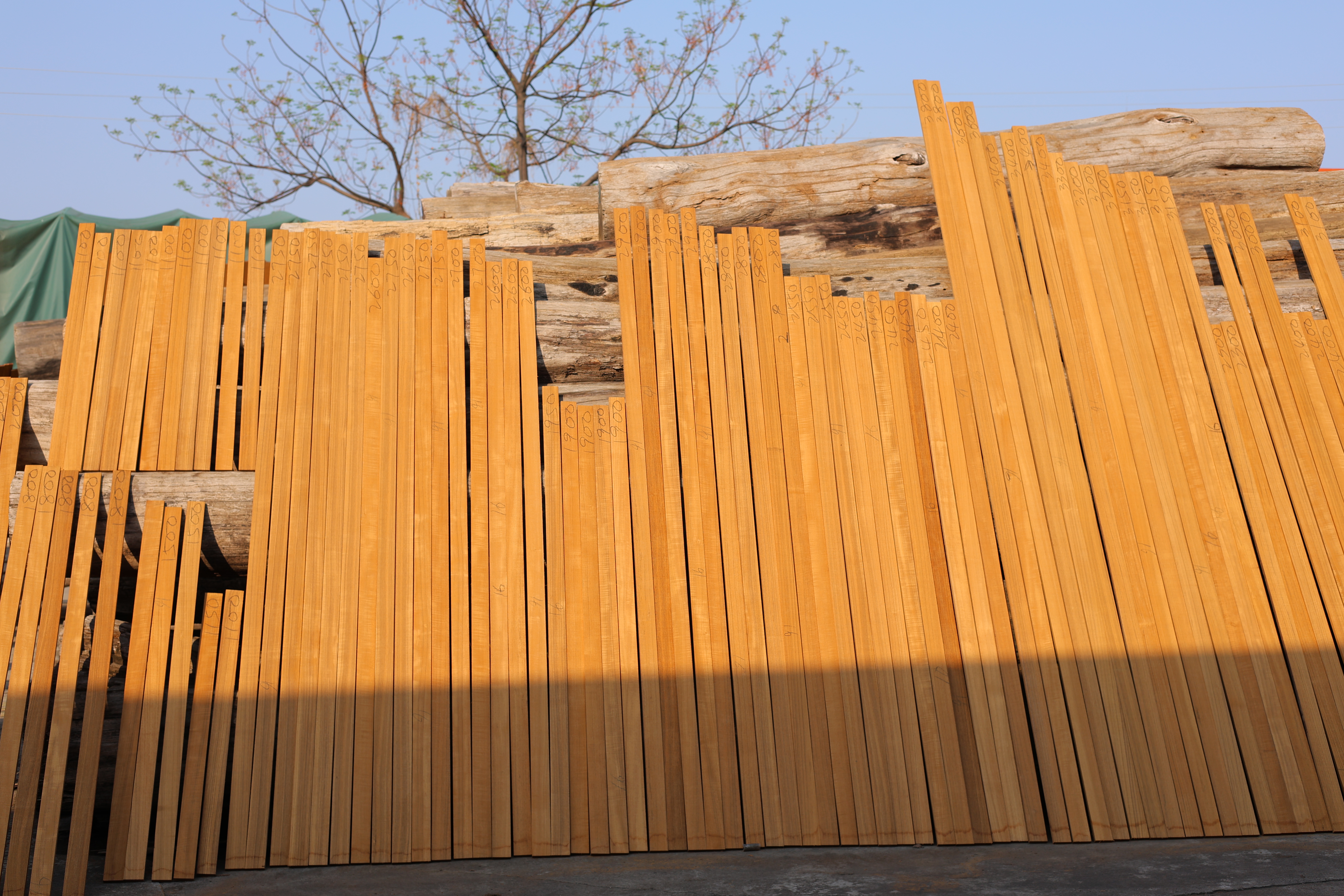 Premium Architectural Teak